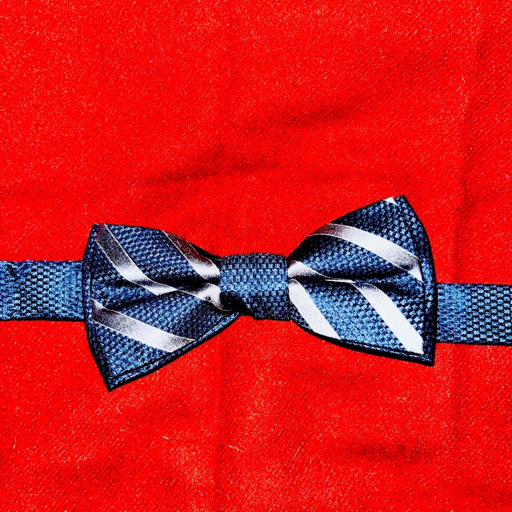 Beautiful Bow Tie